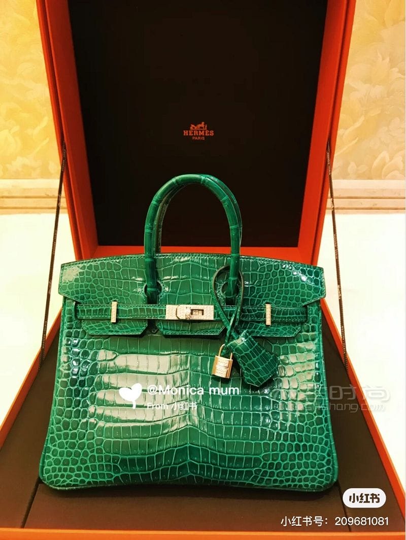 Hermes˰ϼ birkin constance_7