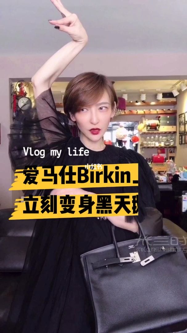 һֻbirkin35 eƤ 0birkin_1