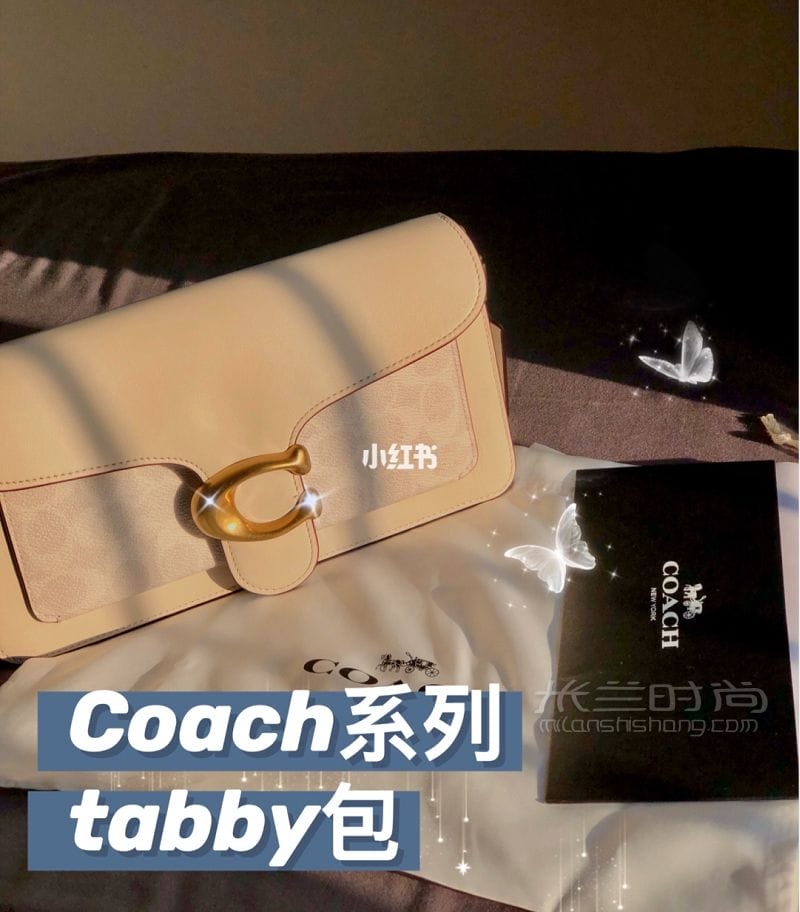 Coachϵа tabbyò_1