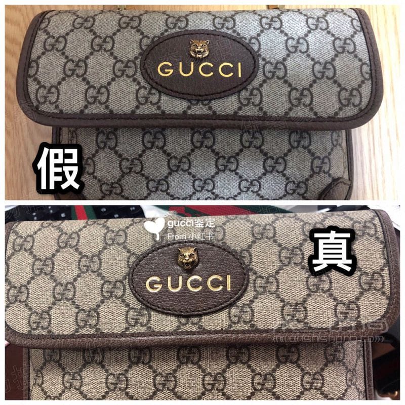 Gucciͷټ ųô٣_4