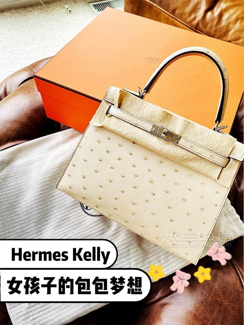 Hermes Kelly֪ʶƪ_2