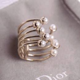 diorָ_diorָ۸_2015¿diorָ-5P