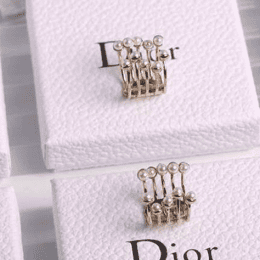 diorָ_diorָ۸_2015¿diorָ-2P