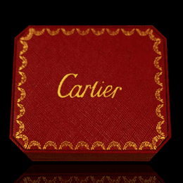 cartier_cartier_cartier۸-5P