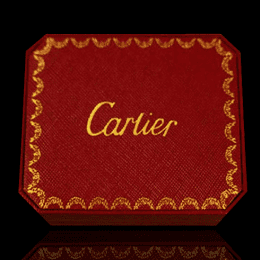 cartier_cartier_cartier۸-2P