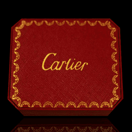 Cartier_Cartier_CartierǮ-3P